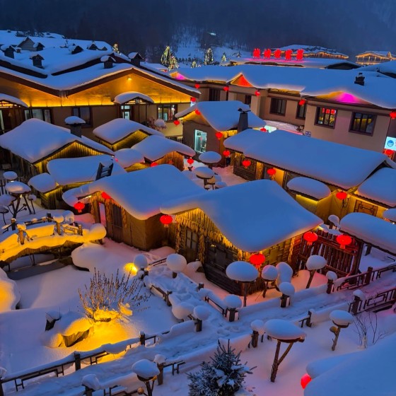 Harbin-The Winter Baroque